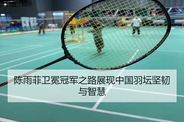 陈雨菲卫冕冠军之路展现中国羽坛坚韧与智慧