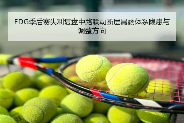 EDG季后赛失利复盘中路联动断层暴露体系隐患与调整方向