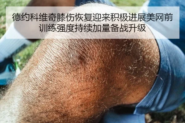 德约科维奇膝伤恢复迎来积极进展美网前训练强度持续加量备战升级