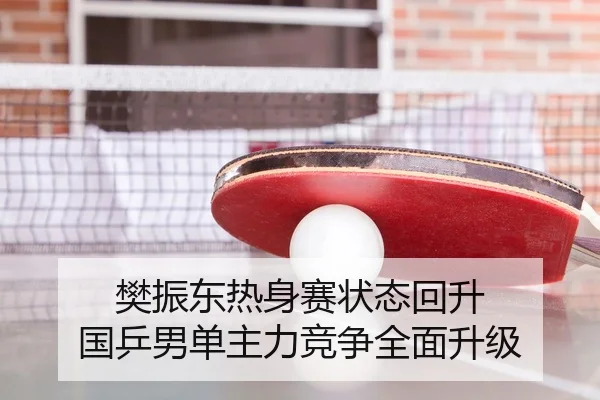 樊振东热身赛状态回升 国乒男单主力竞争全面升级